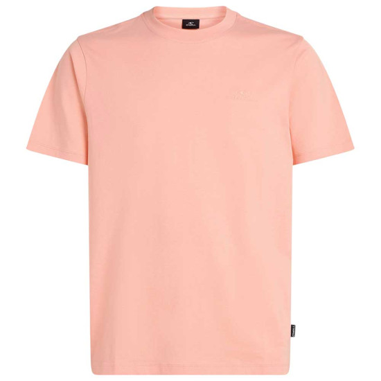O'neill Ανδρική κοντομάνικη μπλούζα Small Logo T-Shirt